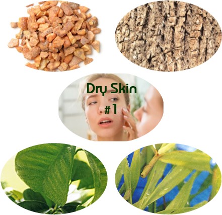 Dry Skin Blend #1 - Click Image to Close