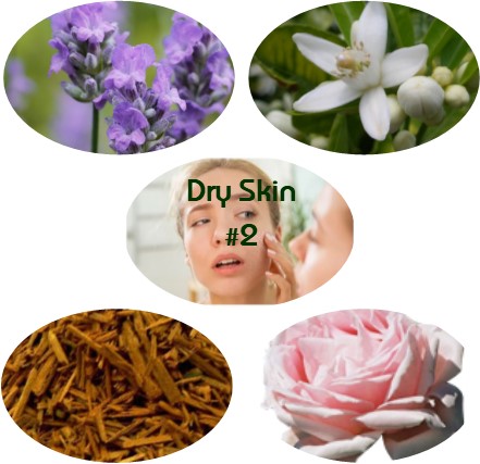 Dry Skin Blend #2 - Click Image to Close