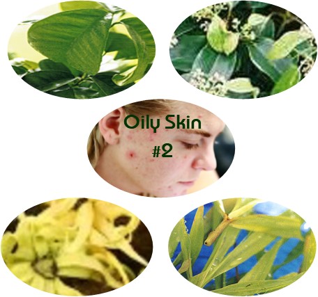 Oily Skin Blend #2 - Click Image to Close