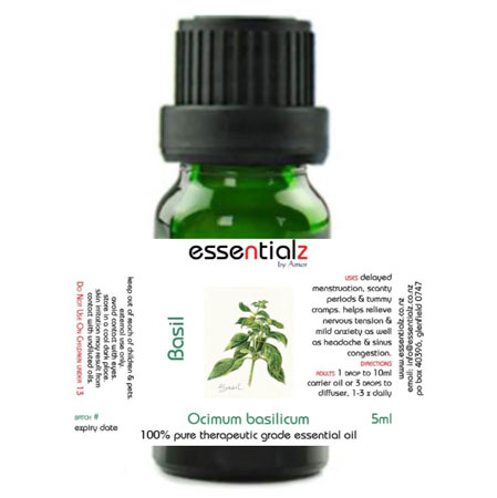 Basil, Sweet Ocimum basilicum - Click Image to Close